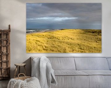 Texel Dunes by Dick Hooijschuur