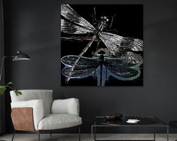 DRAGONFLY meets a friend II van Pia Schneider