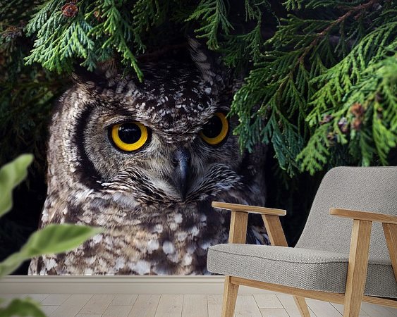 Voorbeeld van het werk in een kamer