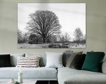 Kale boom in de winter van Emajeur Fotografie