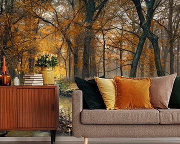 Stream through autumn by Rob Visser