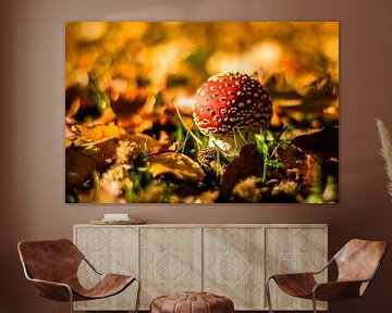 Fly agaric among autumn leaves by Gijs Rijsdijk