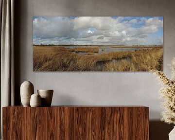 Boerenveensche Teiche bei Hoogeveen