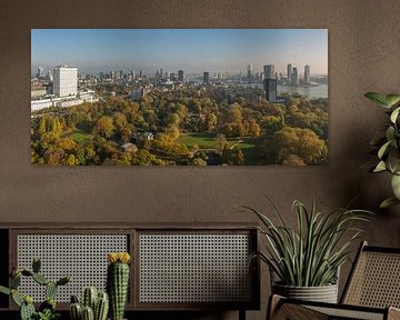 Automne dans le parc à Rotterdam sur MS Fotografie | Marc van der Stelt