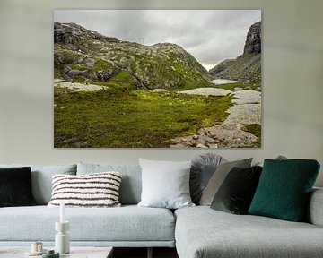 Berglandschap Noorwegen van Remco de Zwijger
