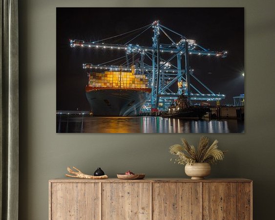 Aperçu de la chambre