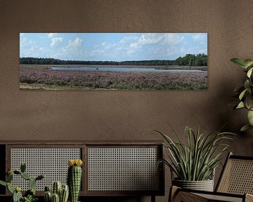 panorama van bloeiende heide met ven by Wim vd Neut