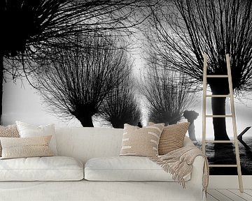 De eenzame fietser (ZW)