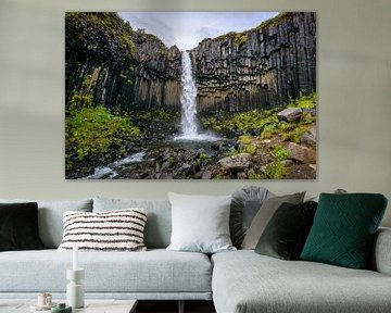 Svartifoss, Iceland by Frank Laurens