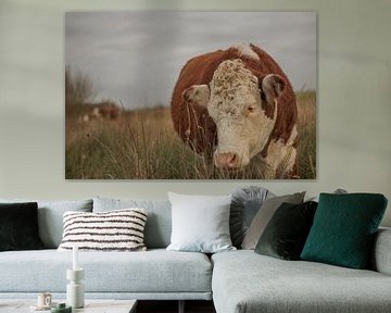 Bruine koe by Rutger Leistra
