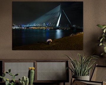 Erasmusbrug Rotterdam in de avond van Esther van Lottum-Heringa