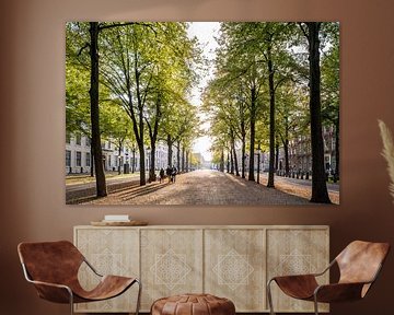 Het Lange Voorhout, Den Haag van John Verbruggen