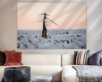 Verbrande boom in sneeuwlandschap bij zonsopkomst van Michel Lucas