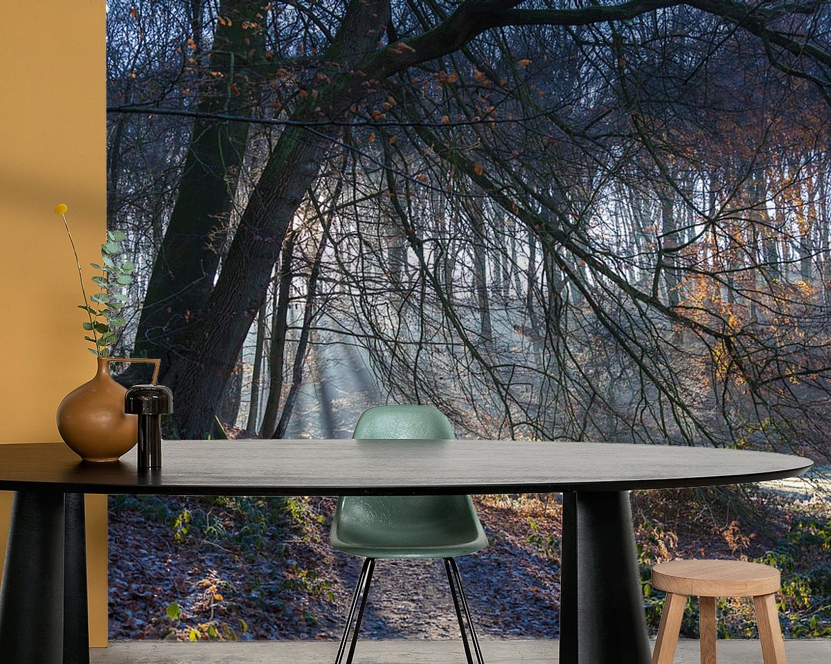 Raumvorschau