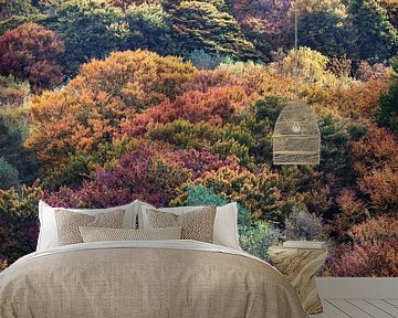 Boomtoppen in herfstkleuren