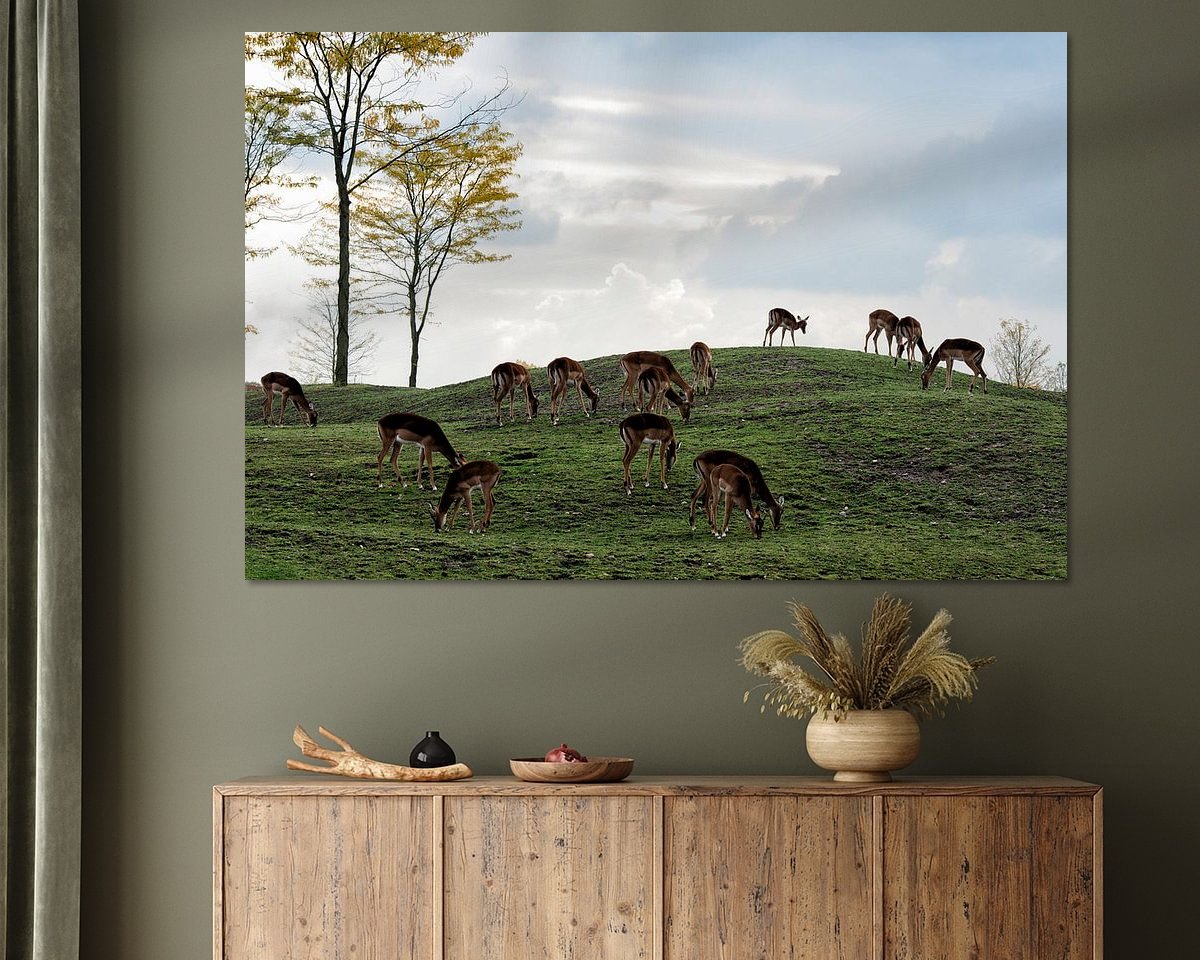 Voorbeeld van het werk in een kamer