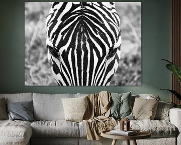 Zebra van Esther van der Linden