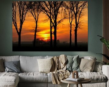 Herfst Zonsondergang achter de bomen van Sjoerd van der Wal Fotografie