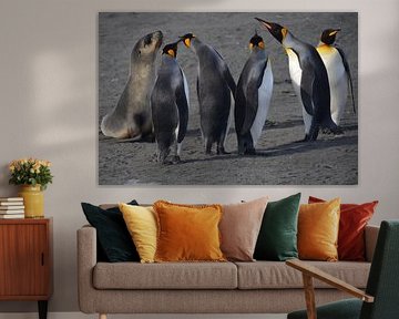 Jonge zeeleuw in gesprek met koningspinguins