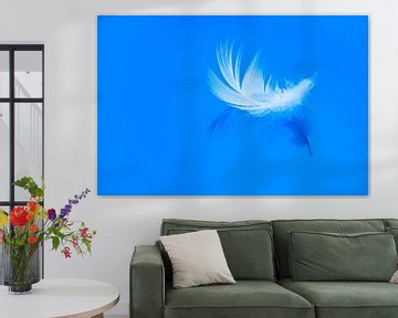 Feather floating on blue water by Sjoerd van der Wal