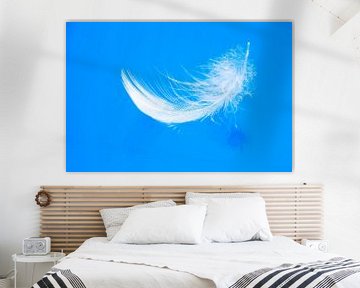 Feather floating on blue water by Sjoerd van der Wal Photography