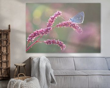 Blauw vlindertje op roze takje van Judith Borremans