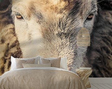 sheep head, sheep by Dutch Art Works