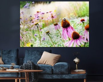 Romantic dreamy Echinacea field by Patricia Verbruggen