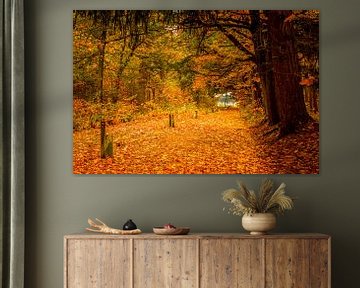 een pad bezaaid met bladeren in de herfst van Marc Goldman