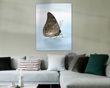 Butterfly in the sky by Aagje de Jong