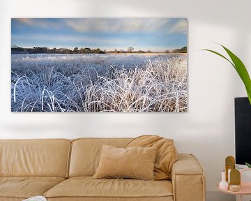 Winterlandschap met berijpte planten en bomen van Peter Bolman