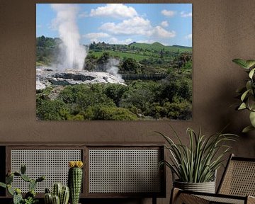 Geyser in Rotorua by Gert-Jan Siesling