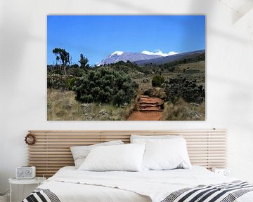 Kilimanjaro van Gert-Jan Siesling