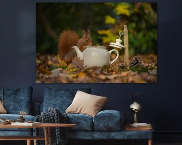 Eichhörnchen kommt zum Tee. von Francis Dost
