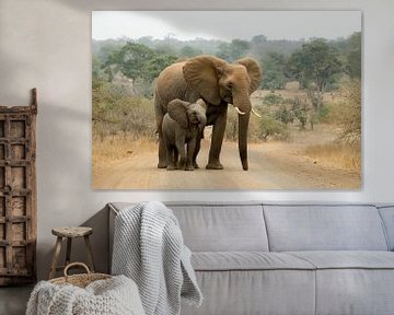 Moeder olifant met haar baby. van Kirsten - Where She Goes