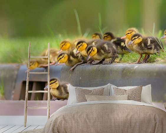 Voorbeeld van het werk in een kamer
