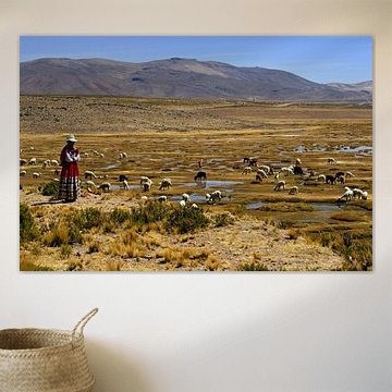 Peruanische Frau mit Lamas und Alpakas