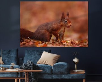 Squirrel with a peanut by LHJB Photography