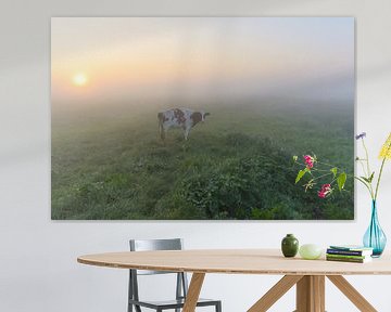 Koe in mistige polder van Remco Van Daalen
