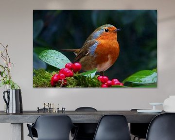 Robin (Robin with red berries) by Caroline Lichthart