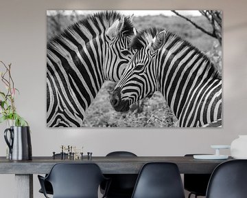 Zebra van Melanie Bruin