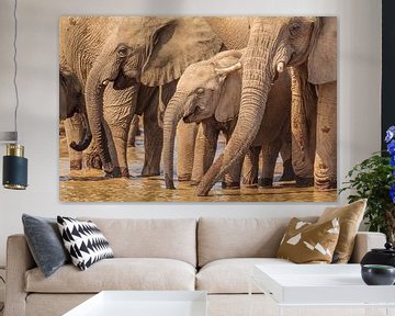 Troupeau d'éléphants d'Afrique au point d'eau sur Chris Stenger