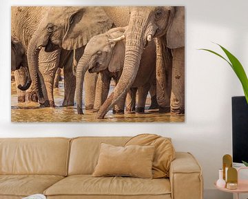 Kudde Afrikaanse Olifanten bij drinkpoel van Chris Stenger
