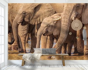 Kudde Afrikaanse Olifanten bij drinkpoel van Chris Stenger