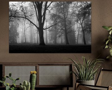 Misty Silhouettes Of Trees van William Mevissen