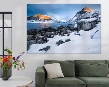 Paysage d'hiver à Senja / Lofoten, Norvège sur Martijn Smeets