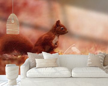 Whats up... by LHJB Photography