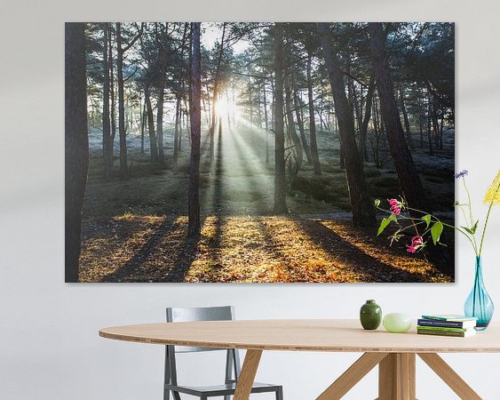 Aperçu de la chambre