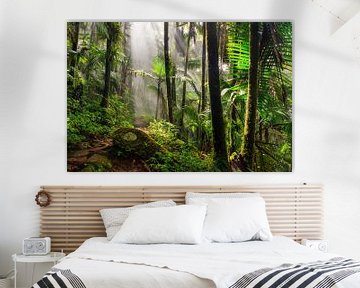 La jungle d'El Yunque sur Dennis van de Water