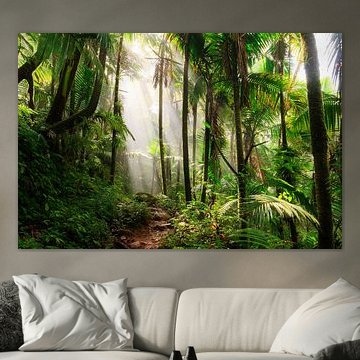 El Yunque Puerto Rico von Dennis van de Water